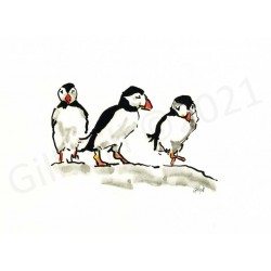 Puffin Dance by Gill Gill