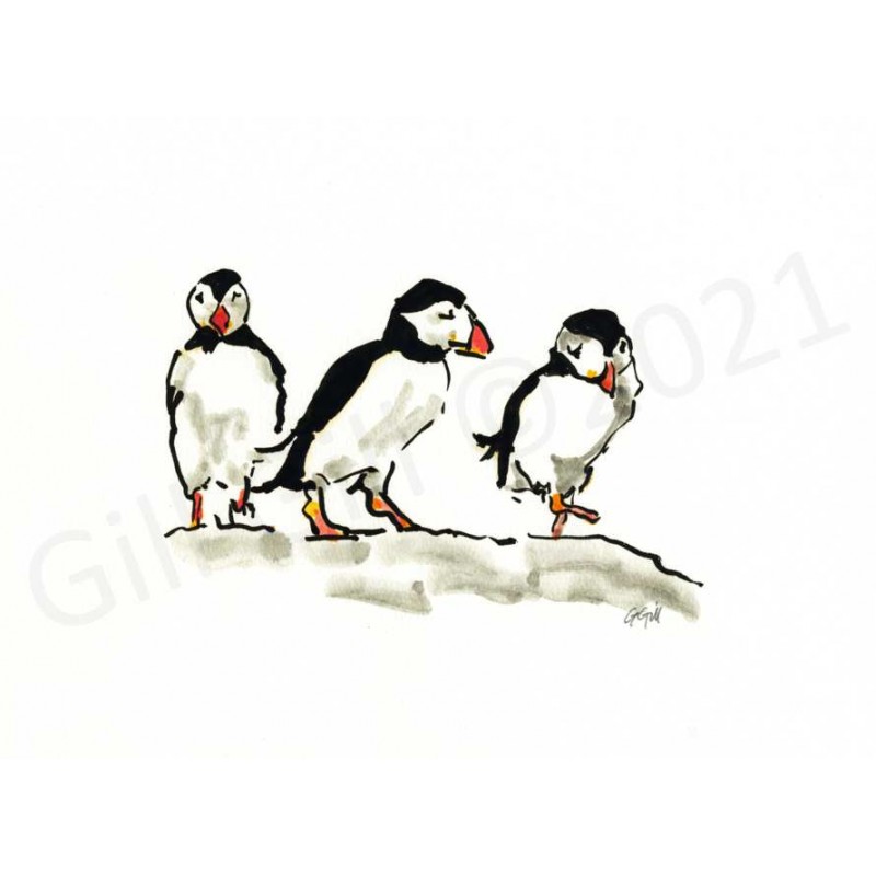 Puffin Dance by Gill Gill