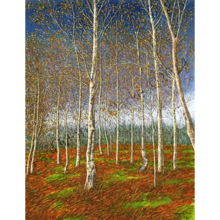 Birch Trees 2009 by Paul Morgan Clarke