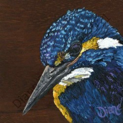 Kingfisher by Diane Patterson