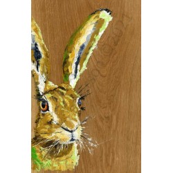 Jeromy Hare by Diane Patterson