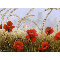 Durham Poppies by Robert Wild