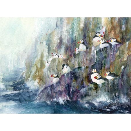 Puffins Cliff 3 by Vivian Riches