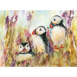 Puffins 3 by Vivian Riches