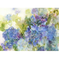 Hydrangeas by Vivian Riches