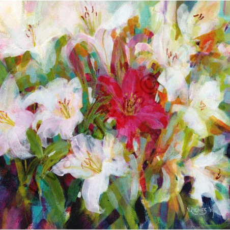 Pink Lily by Vivian Riches