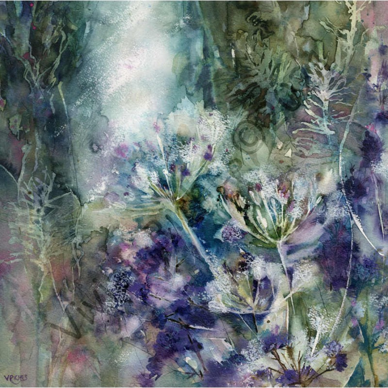 Purple Hogweed by Vivian Riches