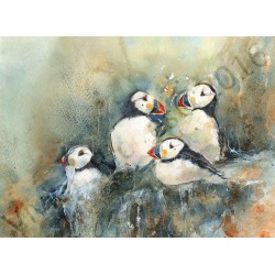 Four Puffins by Vivian Riches