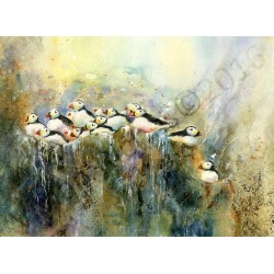Lots of Puffins by Vivian Riches