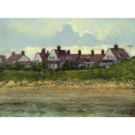 Whitburn Cottages by Robert Wild