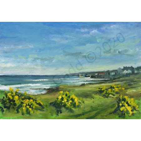 Gorse at Craster 2 by Roger Gadd