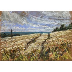 Barleyfield by Roger Gadd